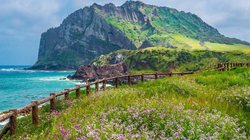 Jeju Island vẻ đẹp hoang sơ hòa cùng thiên nhiên hùng vĩ