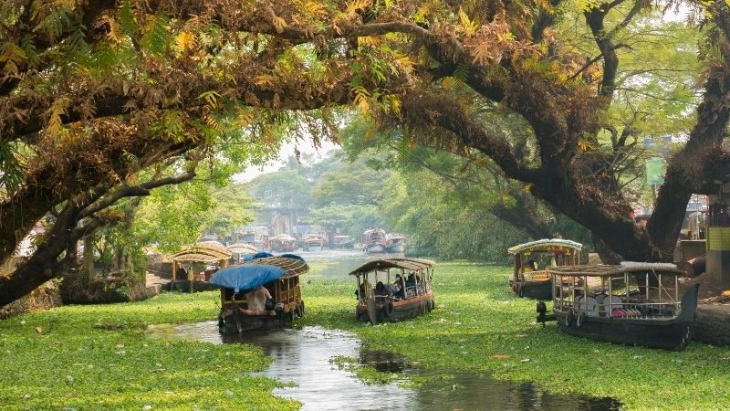 Kênh nước Kerala Ấn Độ