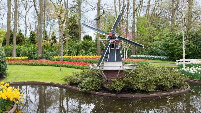 Cối xay gió Keukenhof