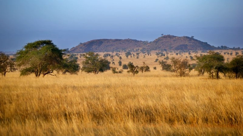 Đặc điểm khí hậu châu Phi phong phú