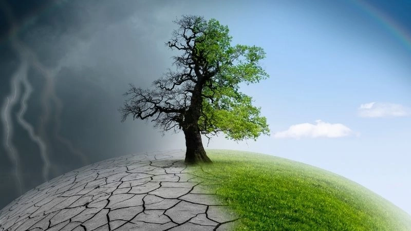 Khí hậu của châu Á phong phú đa dạng