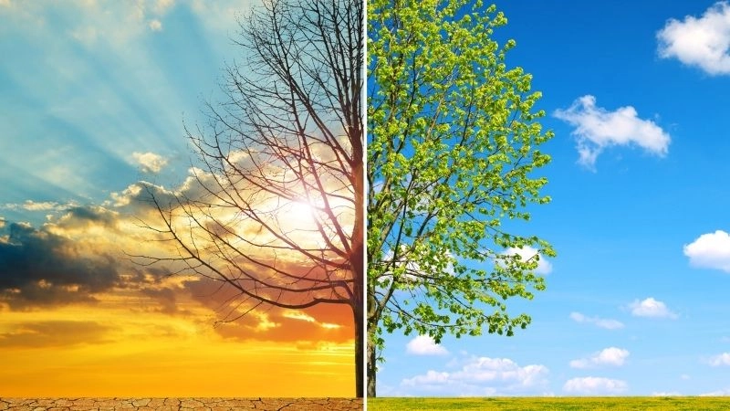 Châu Phi có mấy đới khí hậu