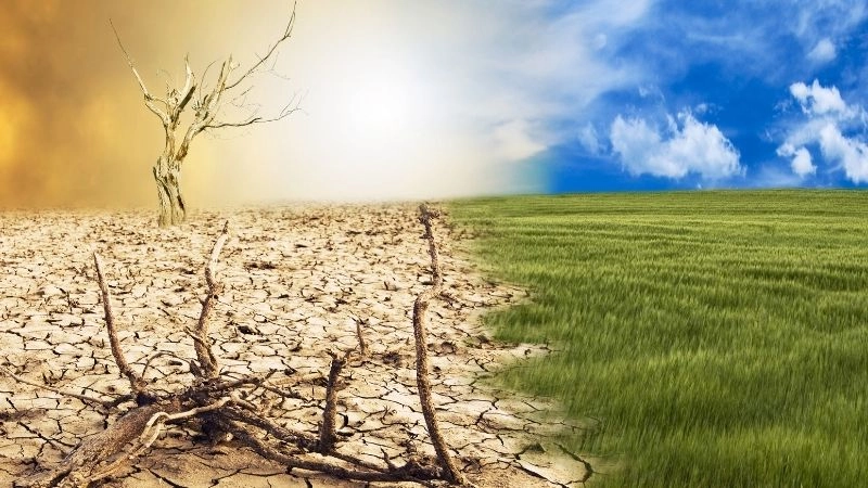 Khí hậu nhiệt đới ở châu Phi đặc điểm