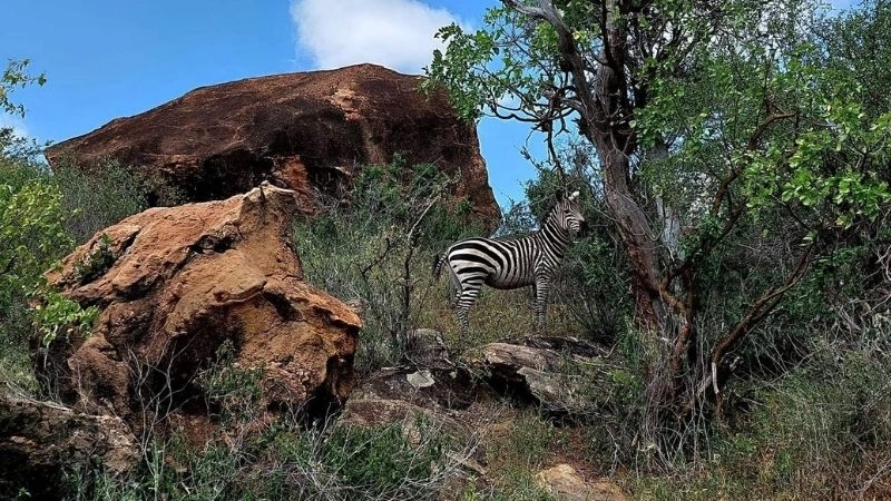 Vườn quốc gia Hell's Gate