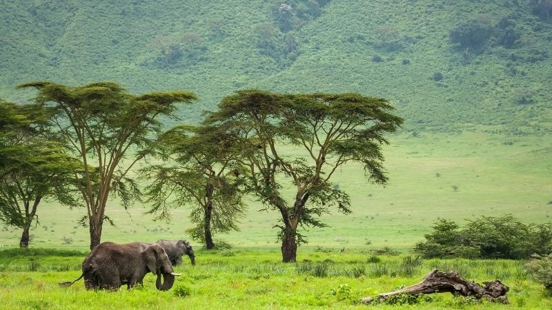 Hệ sinh thái đa dạng