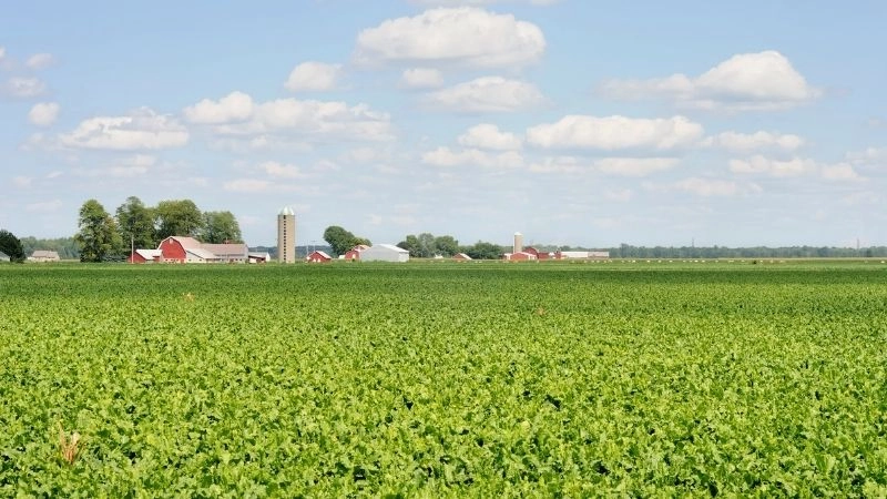 Phát triển nông thôn ở đâu