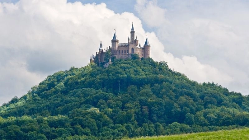 Kiểu rừng phía bắc châu Âu