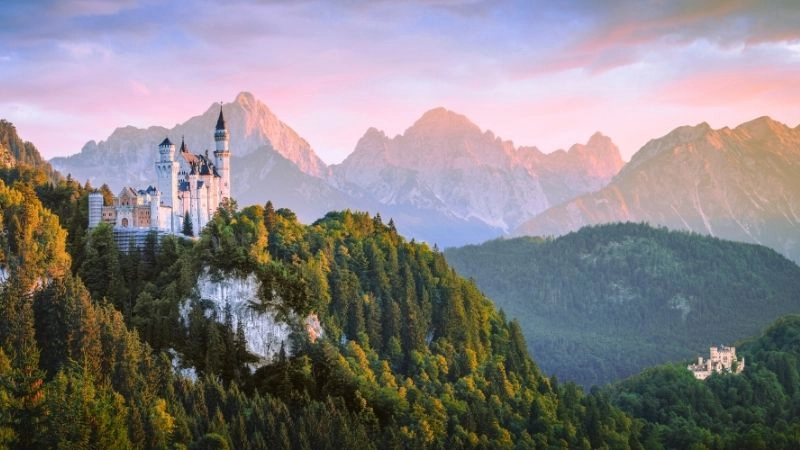 Vai trò rừng châu Âu