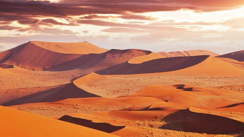 Sa mạc Namib có đại dương không