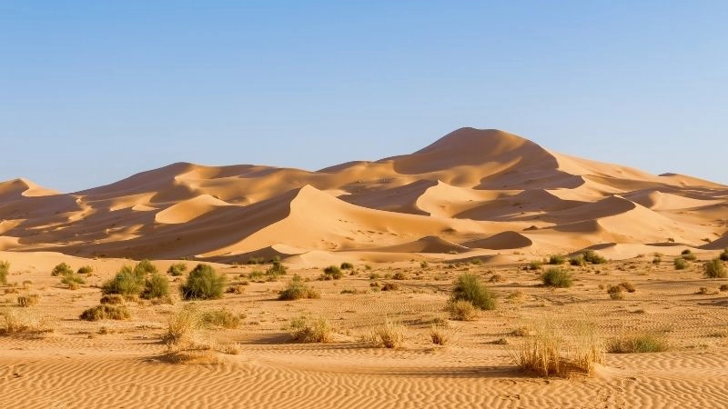 Cồn cát Sahara