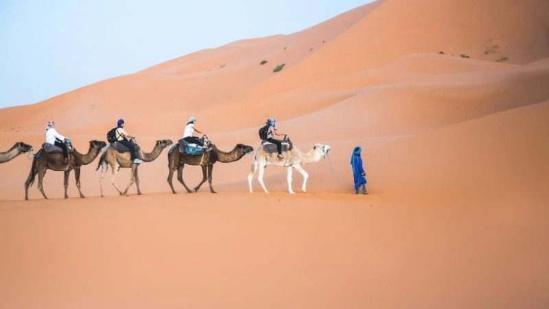 Du lịch Sahara