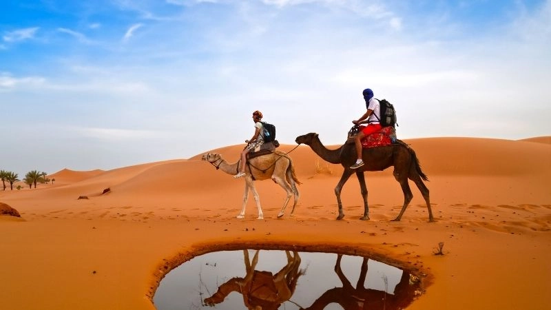 Ốc đảo Sahara