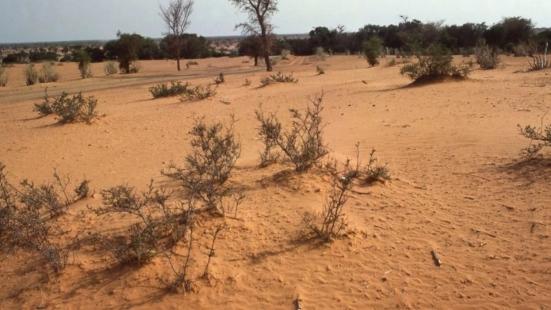 Sa mạc hóa Sahel