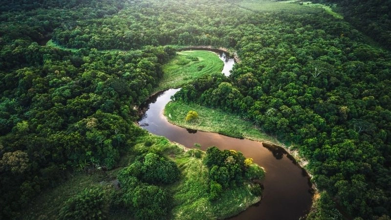 Sông Amazon ở đâu