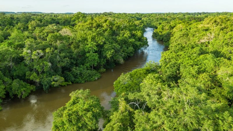 Sông Congo ở châu lục nào
