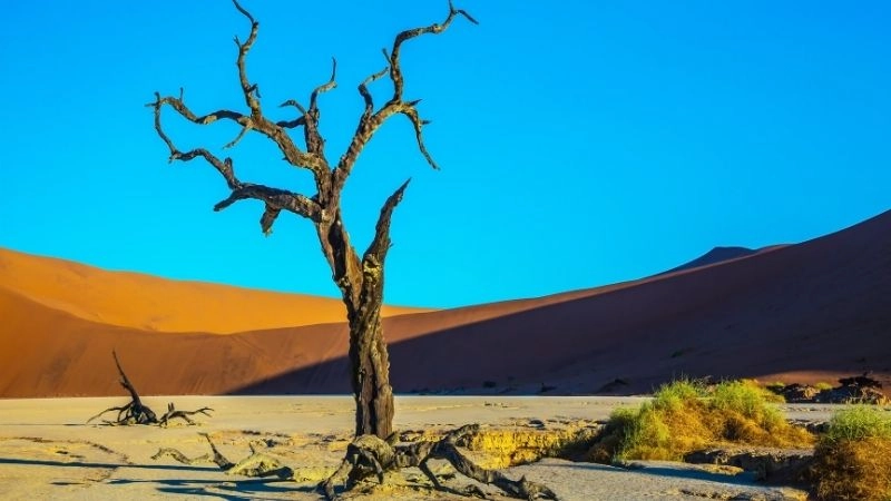Công viên Namib-Naukluft