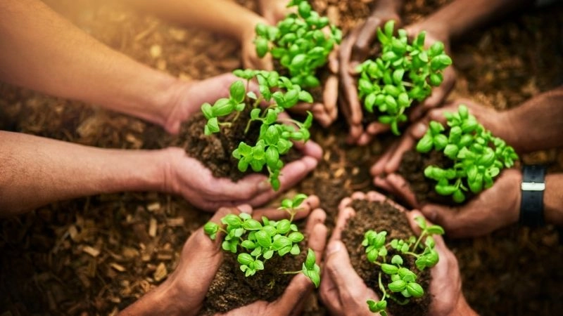 Tài nguyên thiên nhiên châu Âu