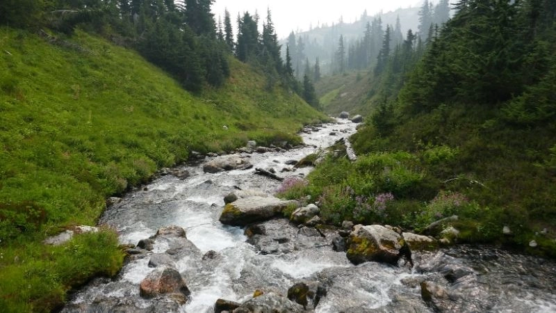 Tài nguyên thiên nhiên châu Âu