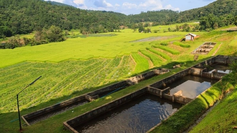 7 vùng nông nghiệp ở Việt Nam