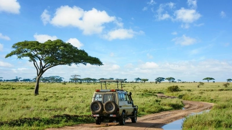 Safari gần thác