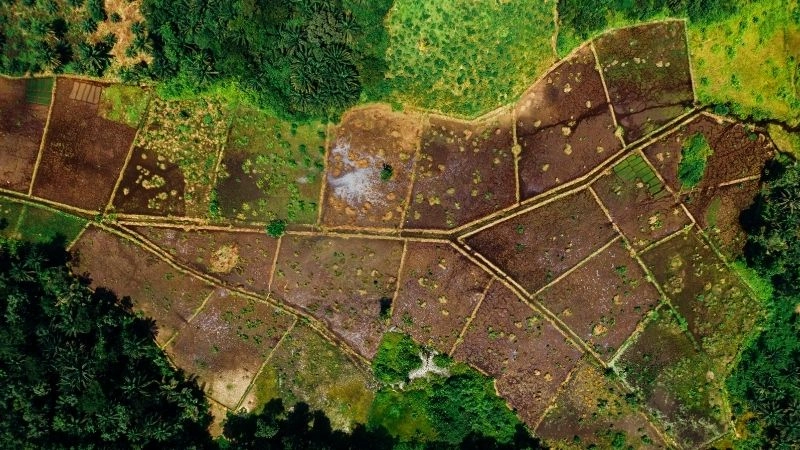 Tại sao đất đai đa dạng