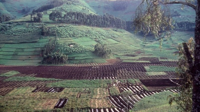Tại sao đất phù sa màu mỡ