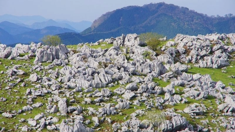 Địa hình karst ở đâu