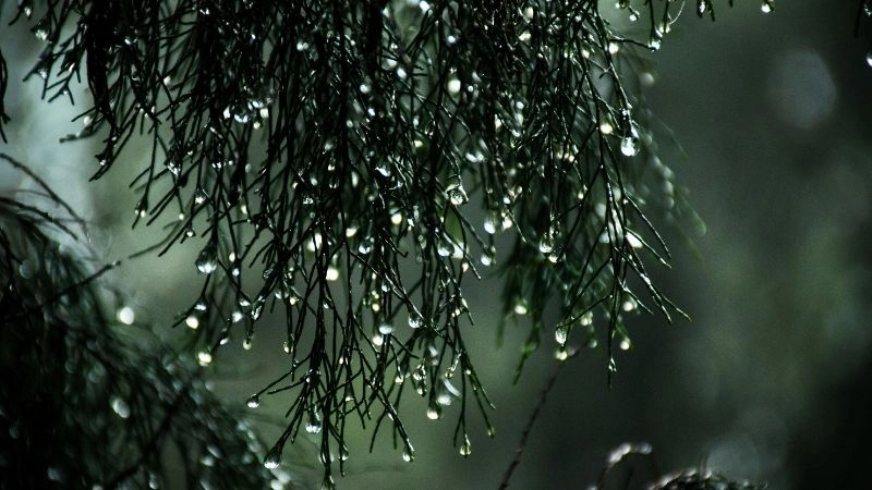 Tại sao độ ẩm không khí ảnh hưởng