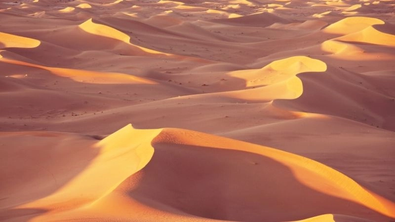 Tại sao đồi cát di chuyển