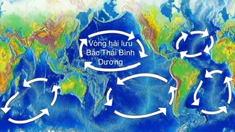 Dòng hải lưu là gì