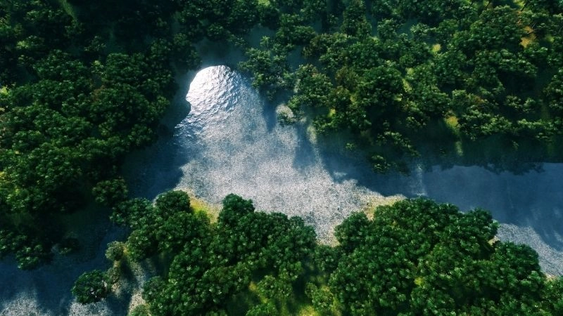 Hệ sinh thái tự nhiên ở đâu