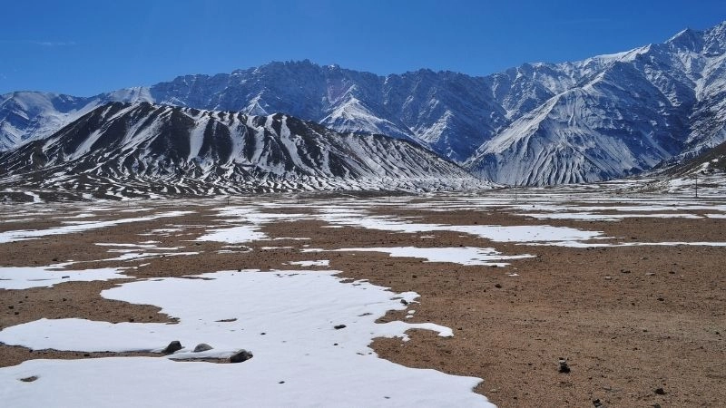 Tìm hiểu hoang mạc lạnh và đời sống sinh vật thích nghi