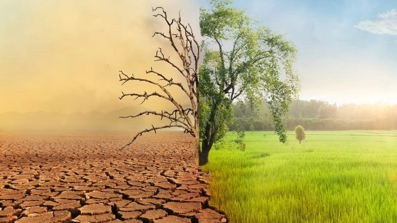 Tại sao khí hậu ôn đới thay đổi