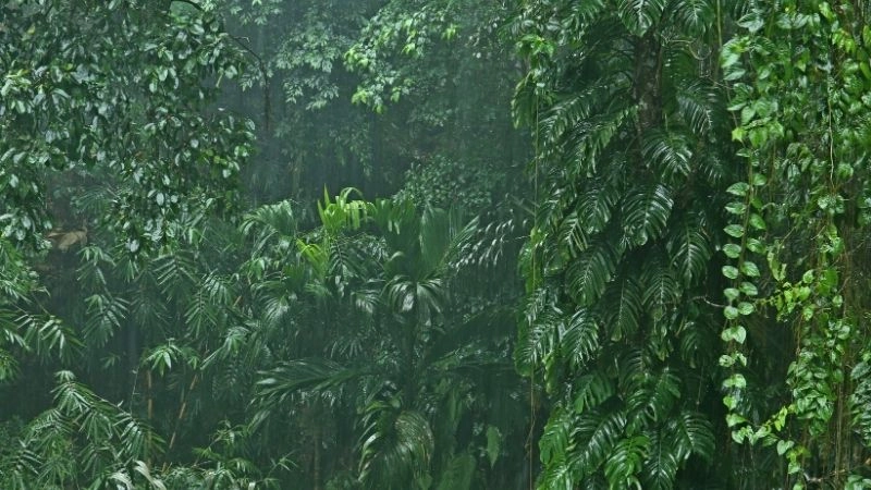 Tại sao mưa và lượng mưa khác nhau