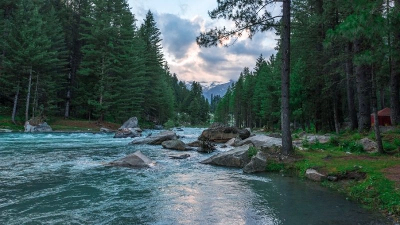 Khám phá thủy văn học và vai trò trong môi trường sống