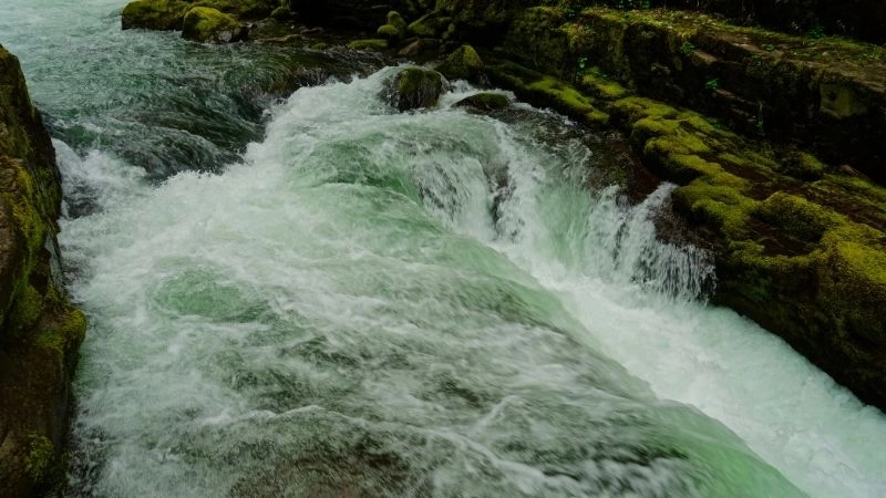 Thủy văn học là gì