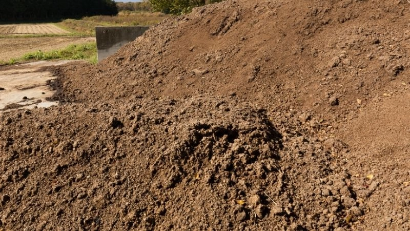 Trầm tích ở đâu