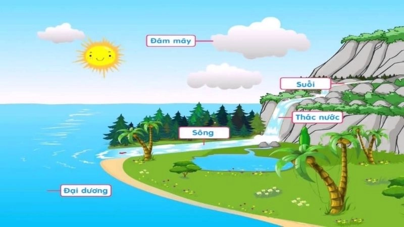 Vòng tuần hoàn nước là gì