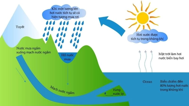 Vòng tuần hoàn nước ở đâu