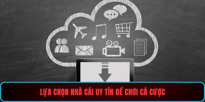 Lựa chọn nhà cái uy tín để chơi cá cược