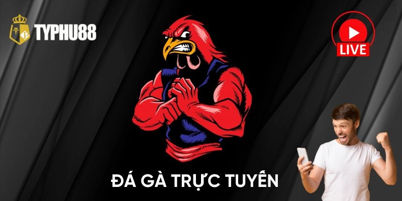 Kèo cược linh hoạt – Dễ chọn, dễ thắng, dễ vui