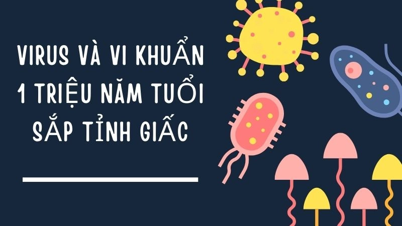 Virus và vi khuẩn 1 triệu năm tuổi sắp tỉnh giấc
