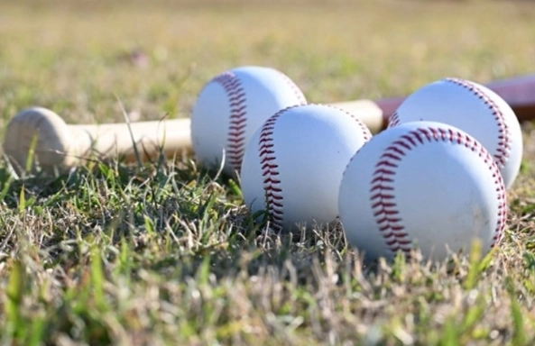 Tổng quan cá cược bóng chày 