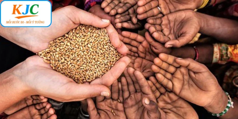 Tổng Quan Về Hoạt Động Thiện Nguyện Của KJC