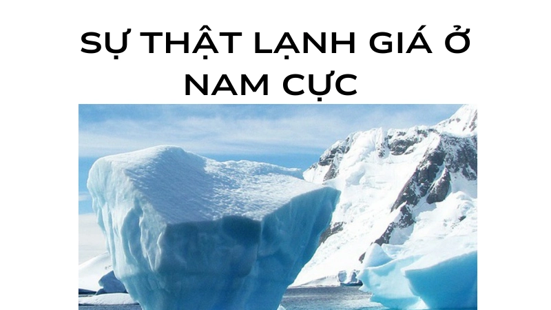 Sự thật lạnh giá khiến ai cũng bất ngờ