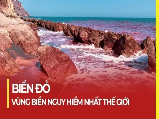 Biển Đỏ hệ sinh thái biển độc đáo và rạn san hô tuyệt đẹp