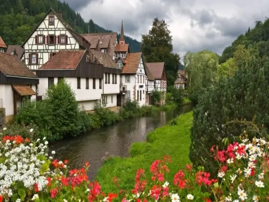 Khám phá Black Forest hành trình giữa thiên nhiên xanh