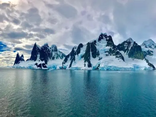 Điều gì khiến châu Nam Cực có hệ sinh thái đặc biệt nhất