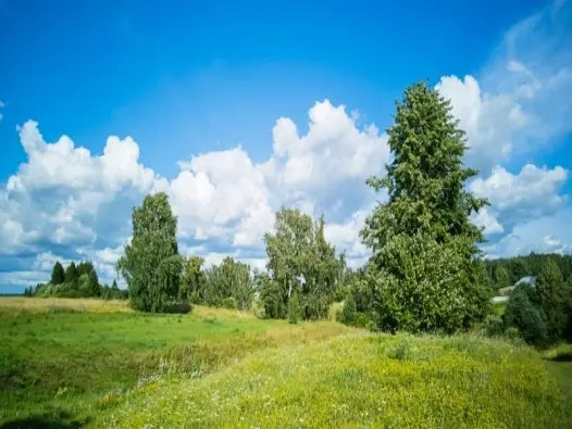 Khám phá vẻ đẹp thiên nhiên của đồng bằng Châu Âu rộng lớn