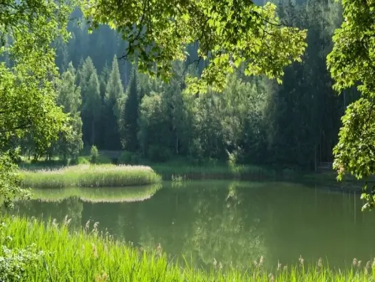 Khám phá những hồ và ao Châu Á đẹp và nổi tiếng thế giới